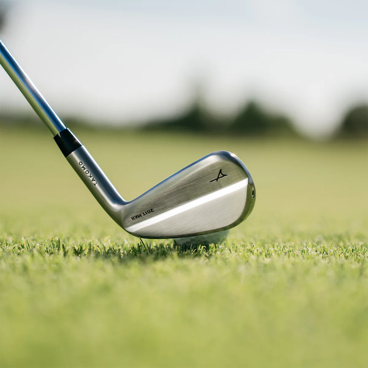 Irons to compare